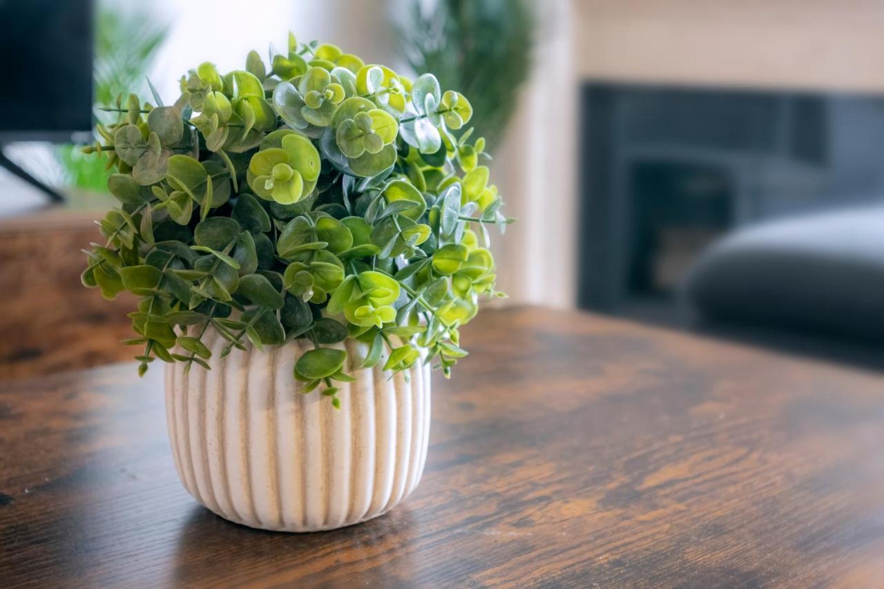 Cozy Home Management In Mdr ロサンゼルス エクステリア 写真